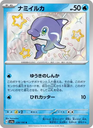 ナミイルカ