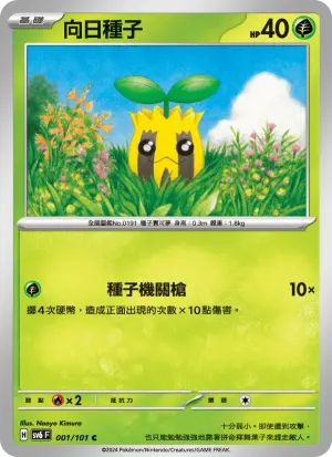 向日種子