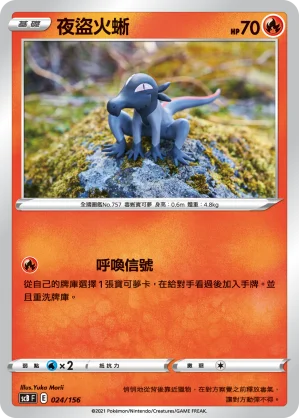 夜盜火蜥