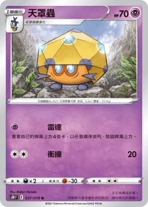 花蓓蓓