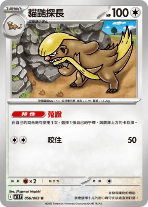 優雅貓