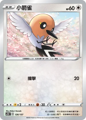 小箭雀