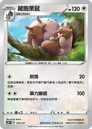 藏飽栗鼠