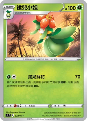 裙兒小姐