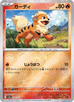 卡蒂狗