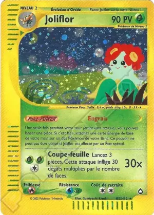 Joliflor