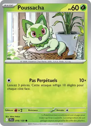 Poussacha