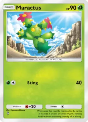 Maractus