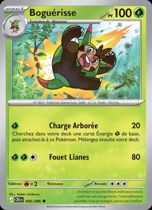 Boguérisse