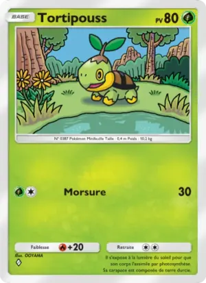 Tortipouss