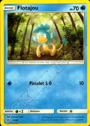 Flotajou