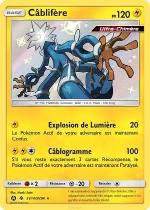 Câblifère