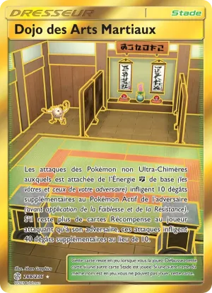 Dojo des Arts Martiaux