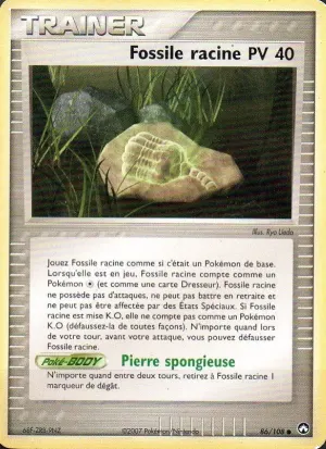 Fossile racine