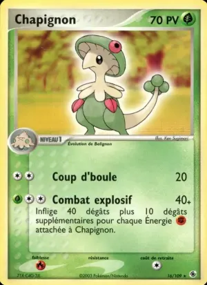 Chapignon