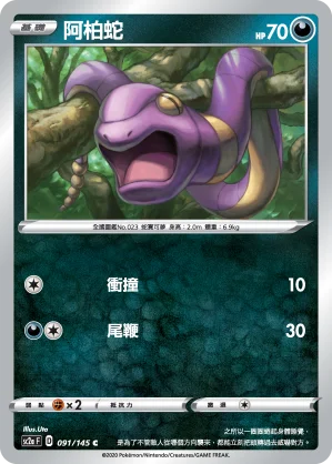 老翁龍