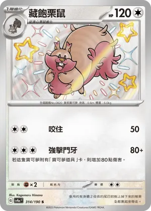 藏飽栗鼠