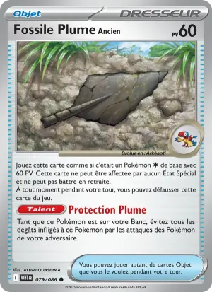 Fossile Plume Ancien