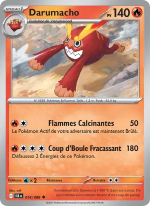 Darumacho