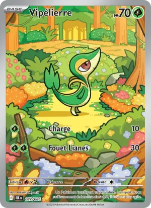 Vipélierre