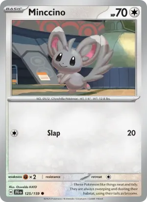 Minccino