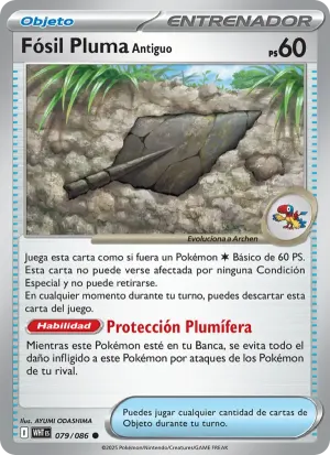 Fósil Pluma Antiguo