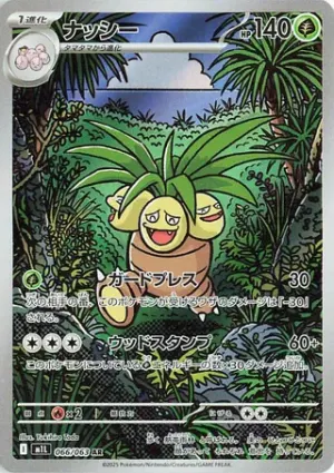 Noadkoko