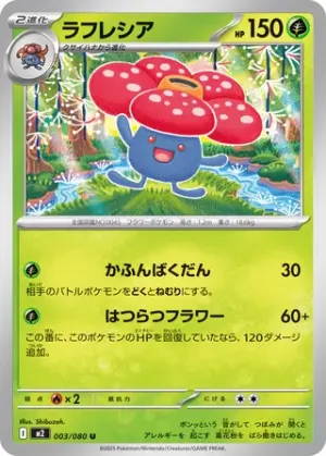 Rafflesia