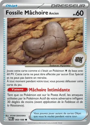 Fossile Mâchoire Ancien