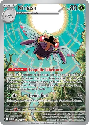 Ninjask