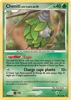 Cheniti Cape Plante
