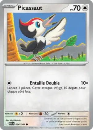 Picassaut
