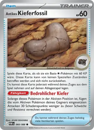 Antikes Kieferfossil