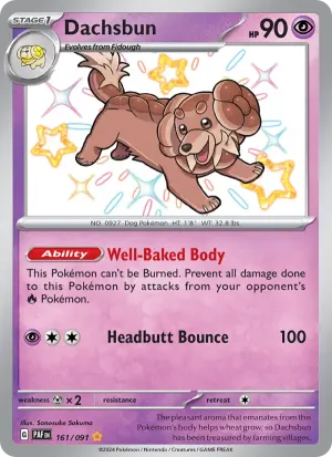 Dachsbun