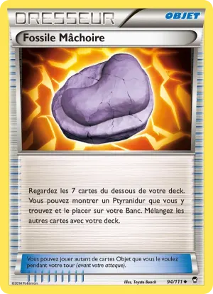Fossile Mâchoire