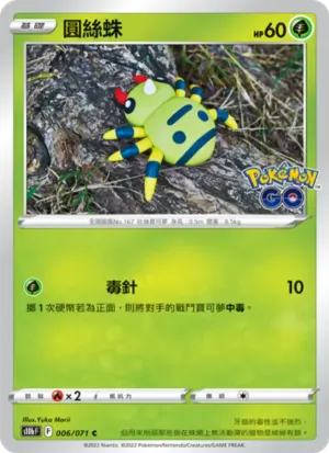 圓絲蛛