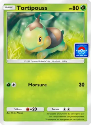 Tortipouss