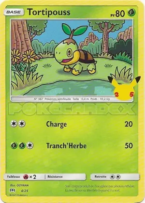 Tortipouss
