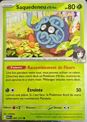 Saquedeneu d’Erika – Promo MEP – ASC FR