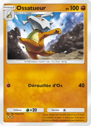 Ossatueur