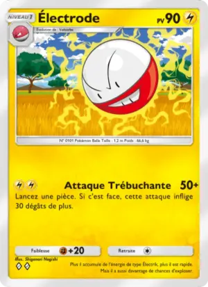 Électrode
