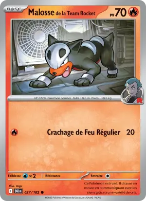 Malosse de la Team Rocket