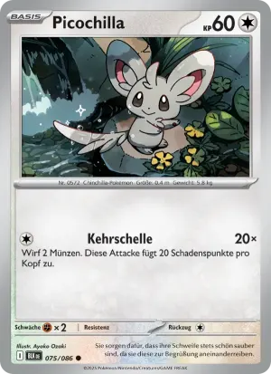 Picochilla