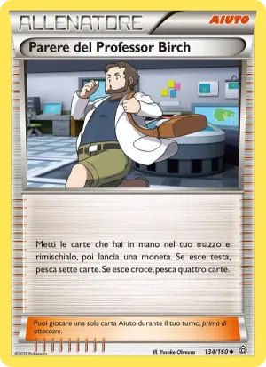 Parere del Professor Birch