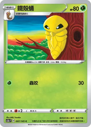 鐵殼蛹
