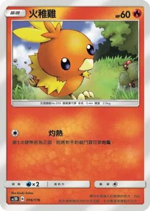 沙鈴仙人掌