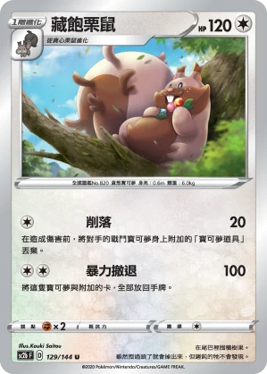 藏飽栗鼠