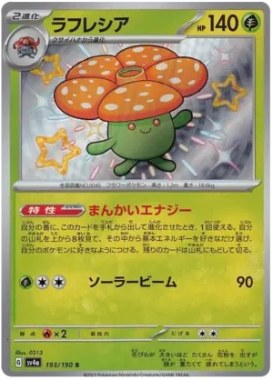 Rafflesia