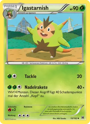 Igastarnish