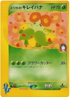 エリカのベロッソム